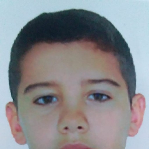 Bernardo Fontana MORAES