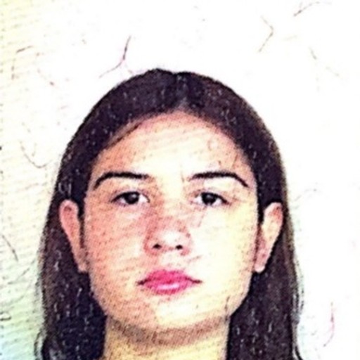 Karine Lustosa CORREA